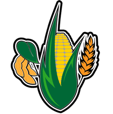 Corn Cob Logo